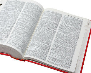 dictionar explicativ al limbii romane